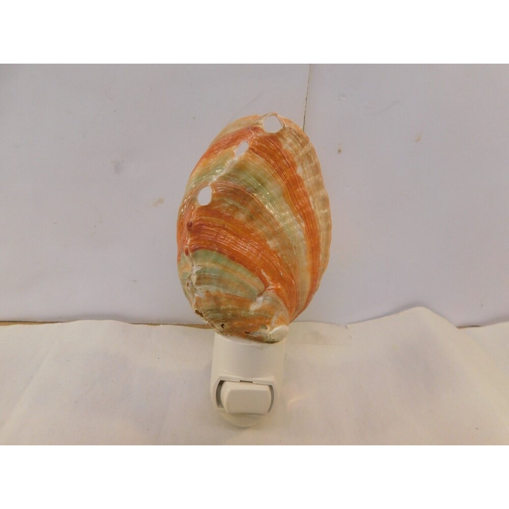 Polished clam Shell Real Sea Shell Night Light with Bulb Nitelight